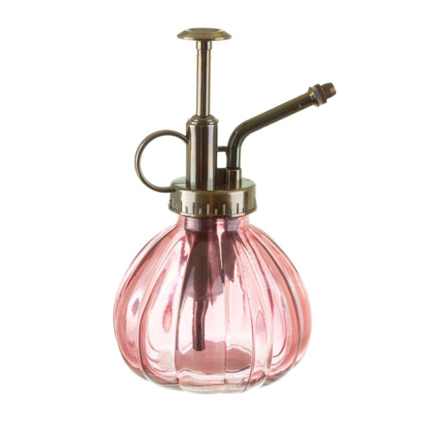 Brumisateur pour plantes d'intérieur en verre rétro.