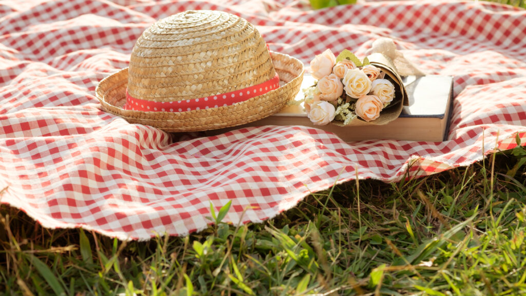 Nappe de pique-nique à motif vichy.